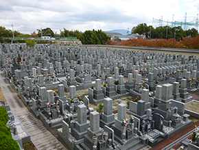 mihara_photo_3_s