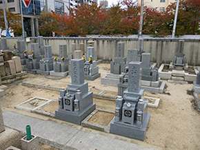 photo3_1
