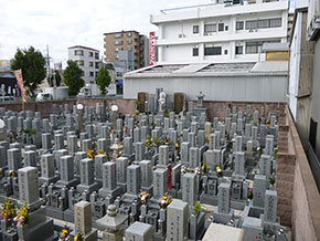 taiheiji_photo_4_s