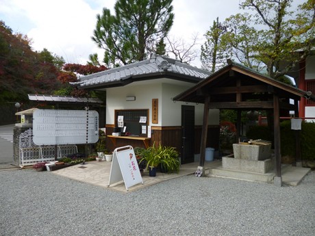 minami_photo_1