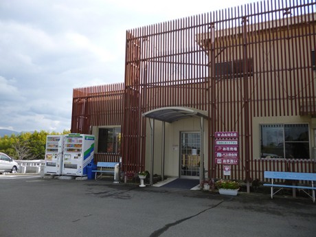 minami_photo_4