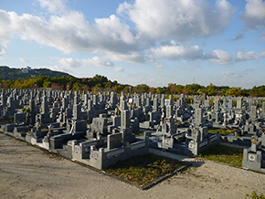 tonda_photo_2_s